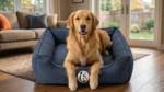 Wear Craft Herringbone Pet Toys with Plush Blanket and Cotton Tug Toy - Image 2